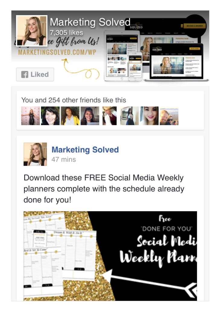 Facebook Like Box // Marketing Solved // How to Get More Facebook Likes 