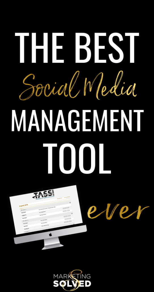 The Best Social Media Management Tool For Small Businesses - TASSI. Marketing Solved 